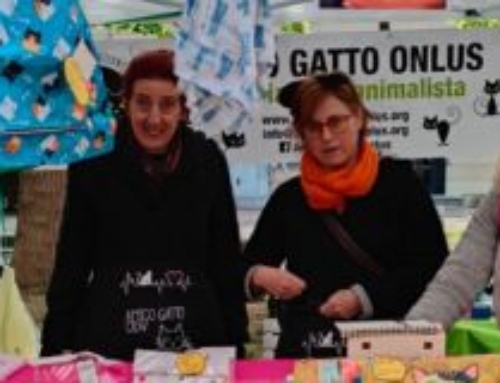 Solo Per Oggi: un evento di successo a Cernusco sul Naviglio